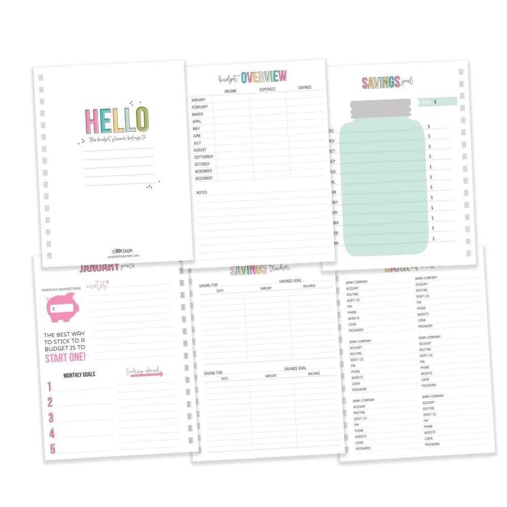 Carpe Diem Budget 12 Month Spiral Planner - Undated