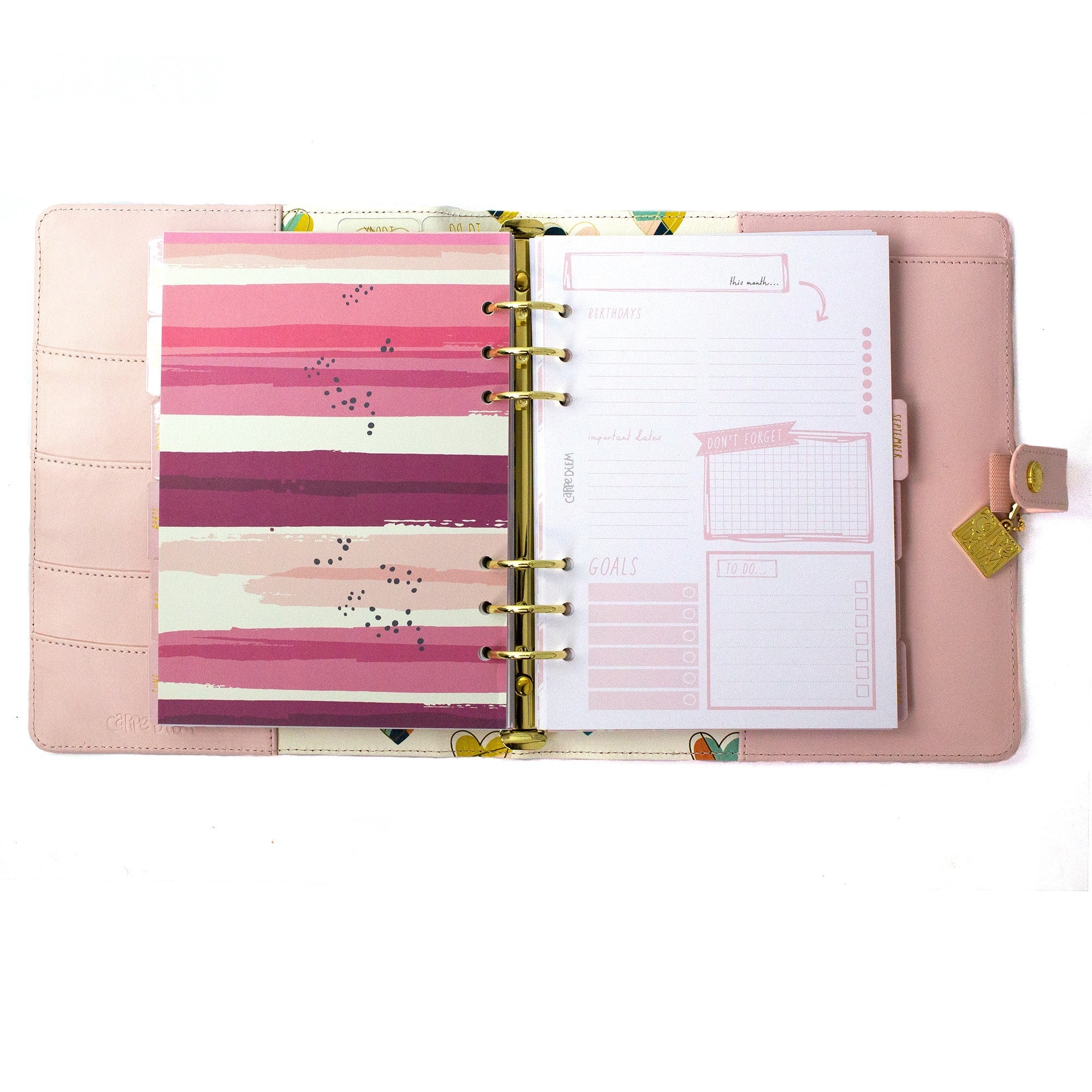 Carpe Diem A5 Planners