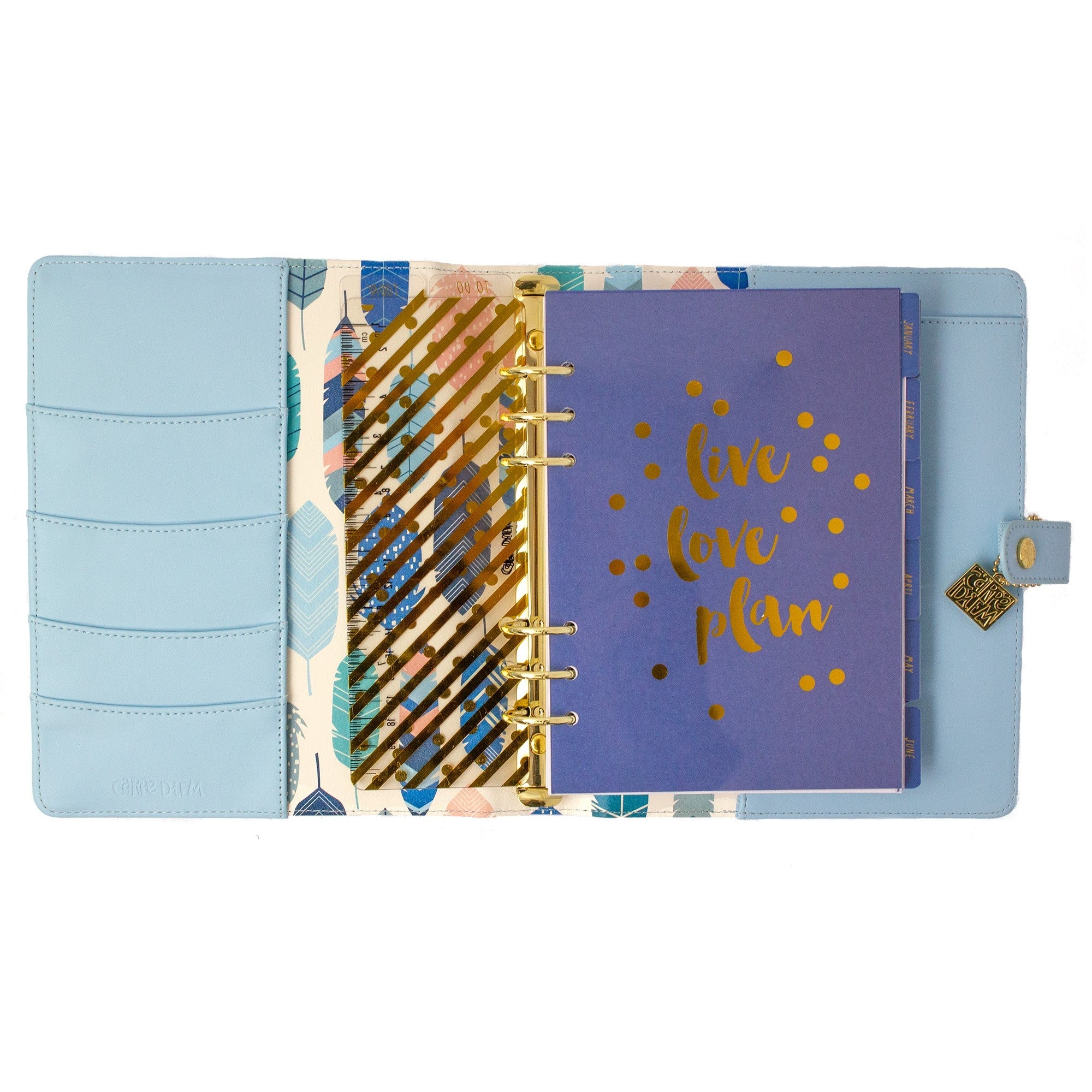 Carpe Diem A5 Planners