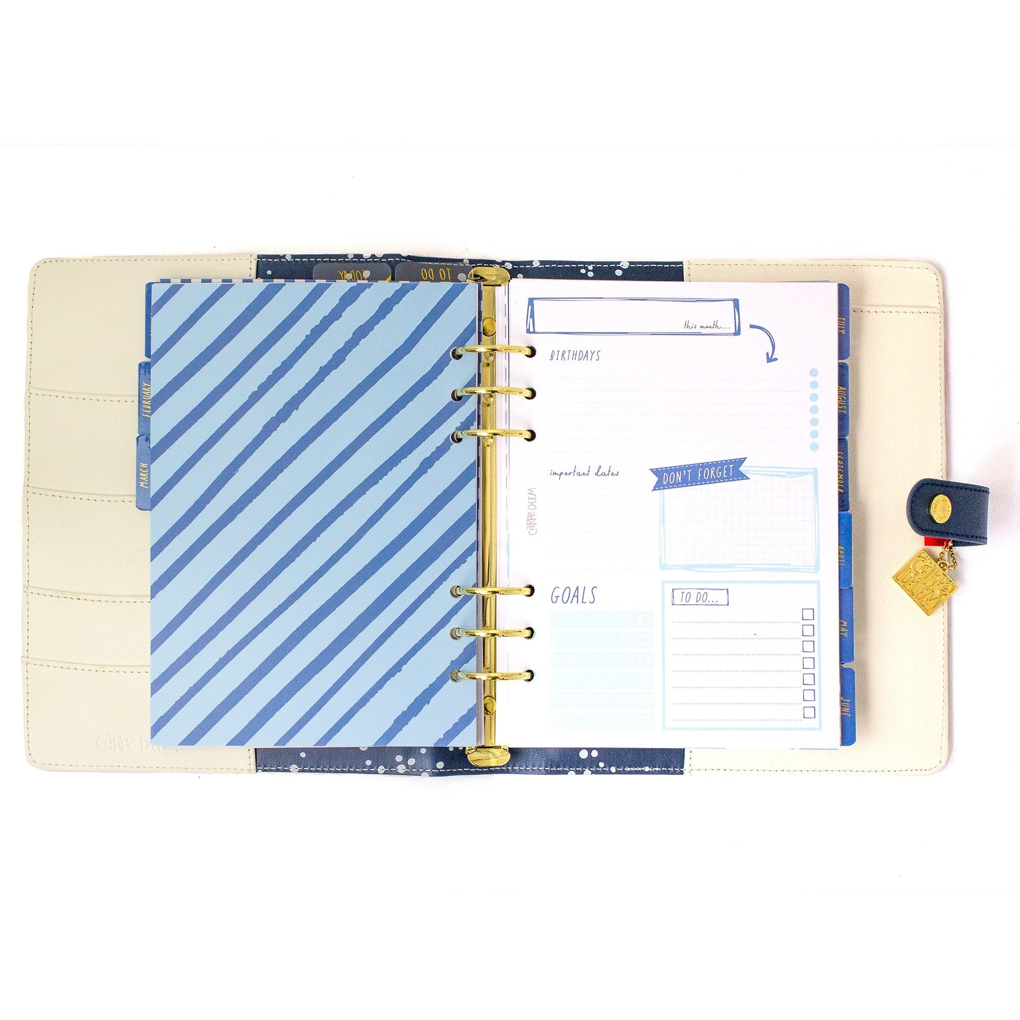 Carpe Diem A5 Planners