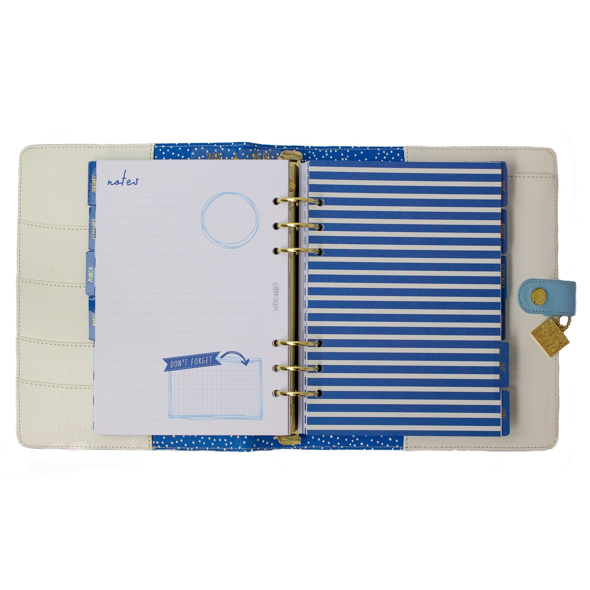 Carpe Diem A5 Planners