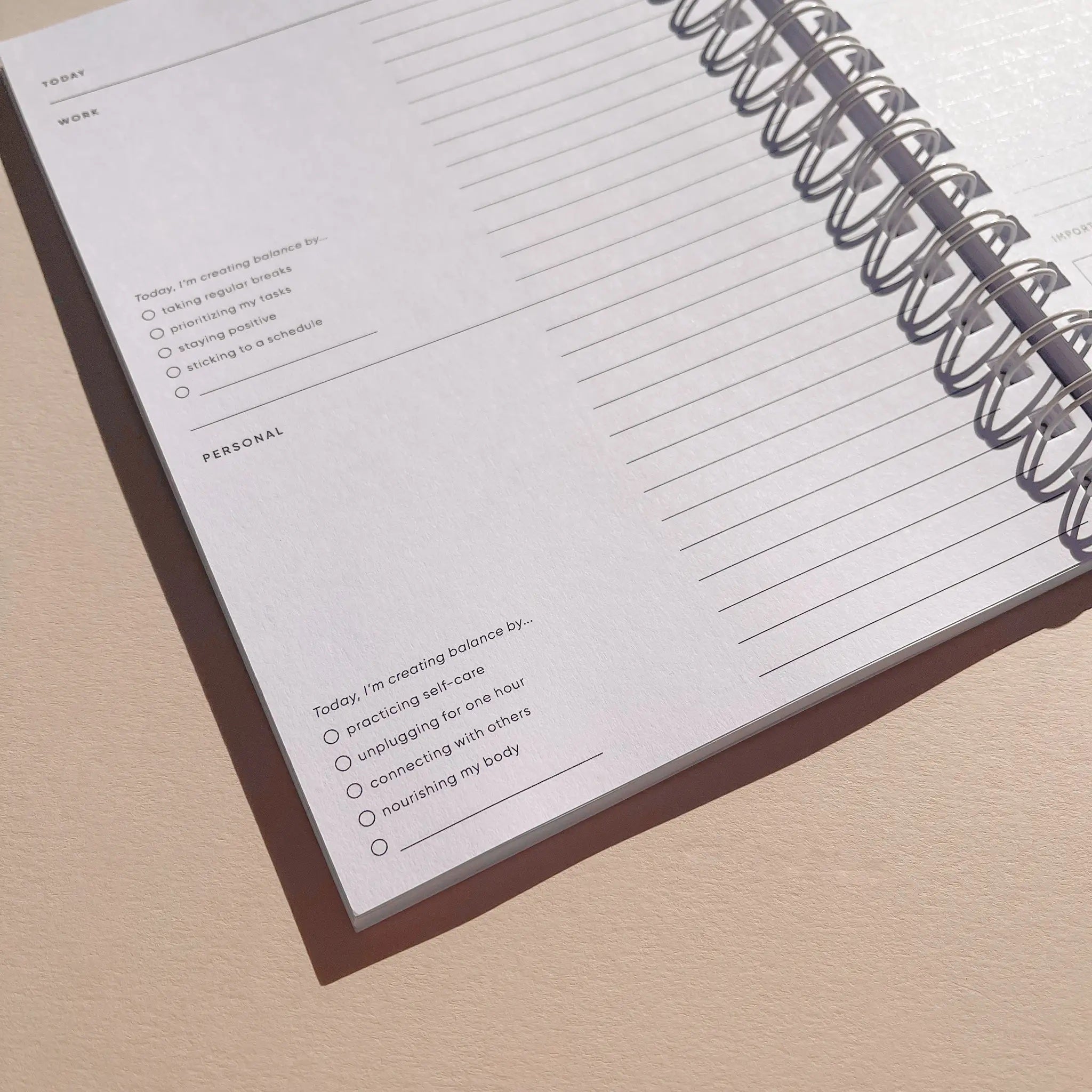 Joyce Lay Hoon Ho - Balance Notebook
