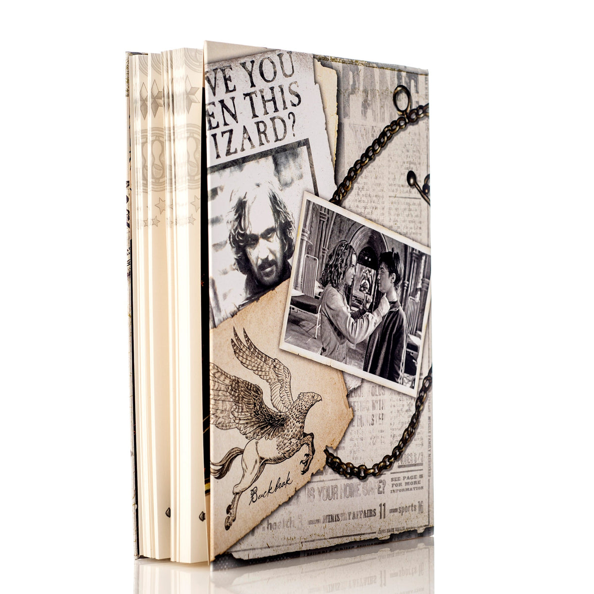 Harry Potter™ Time Turner Plain Journal