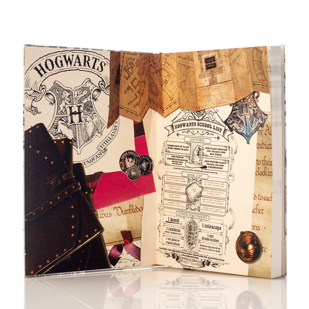 Harry Potter™ Time Turner Plain Journal